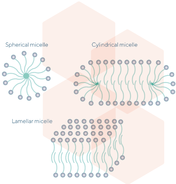 Structure, interface, micelles Lamberti Group
